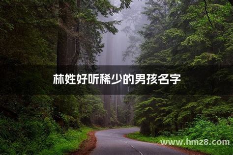 姓林的名字|姓林取名字大全 林姓好听稀少的名字